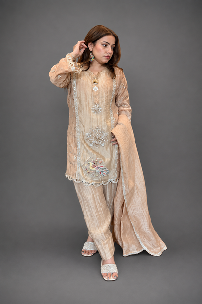 BBA Light & Dark Gold Embroidered Farsi Salwar Set