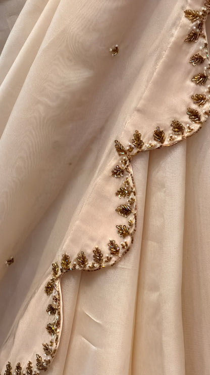 Ivory Elegance Embellished Saree Set