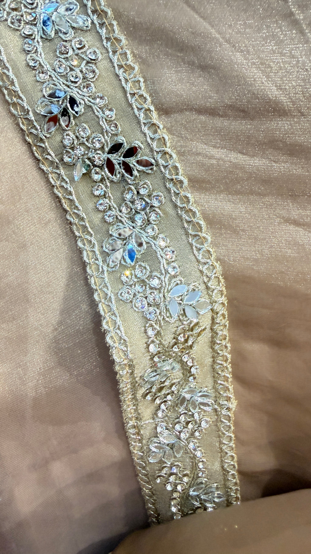 Tissue Silk Saree with Hand-Embellished Border