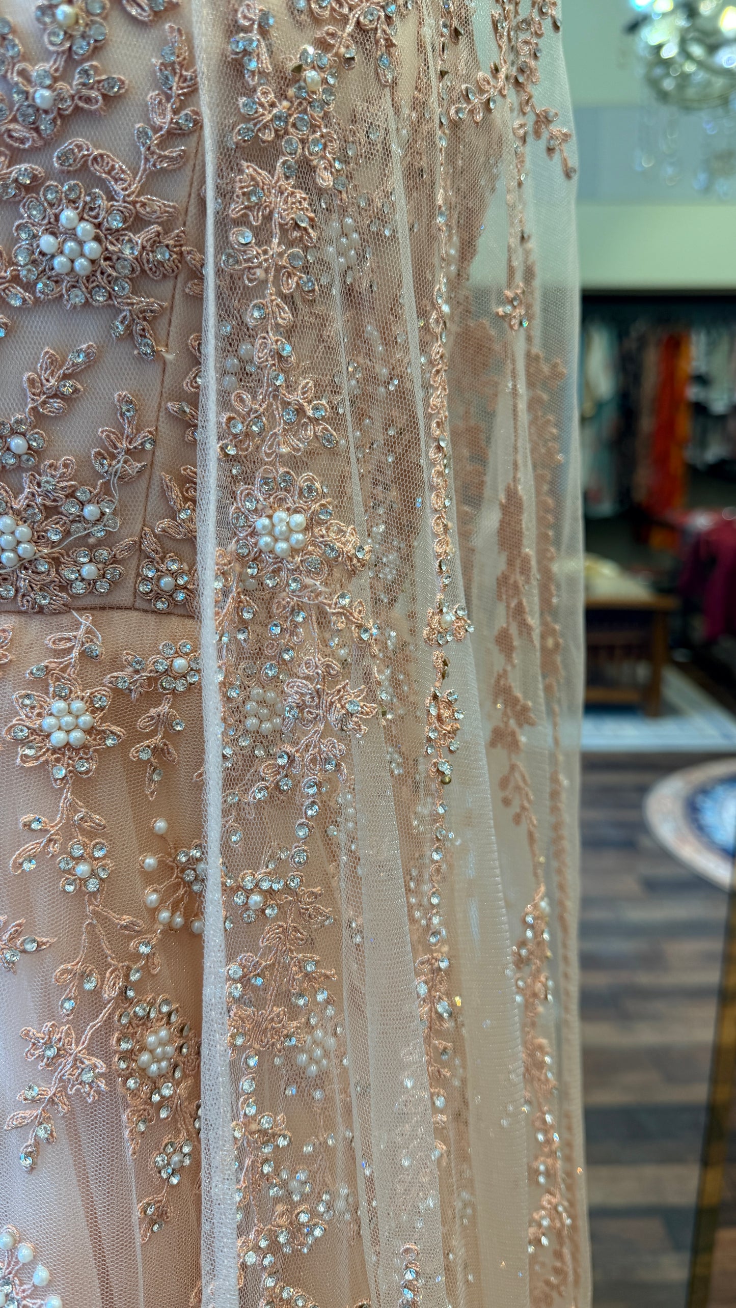 Blush Pink Embellished Cape Gown