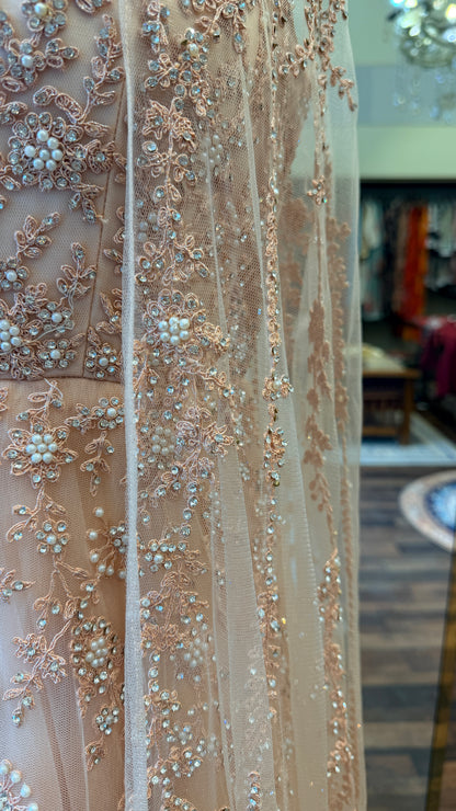 Blush Pink Embellished Cape Gown